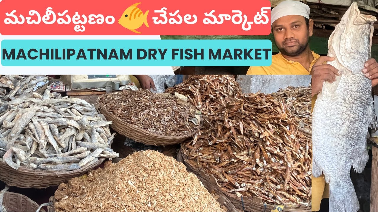 Dry Fish Market Machilipatnam | Bandar చేపల మార్కెట్ | Sea Foods | Pride of India | Telugu Food Vlog