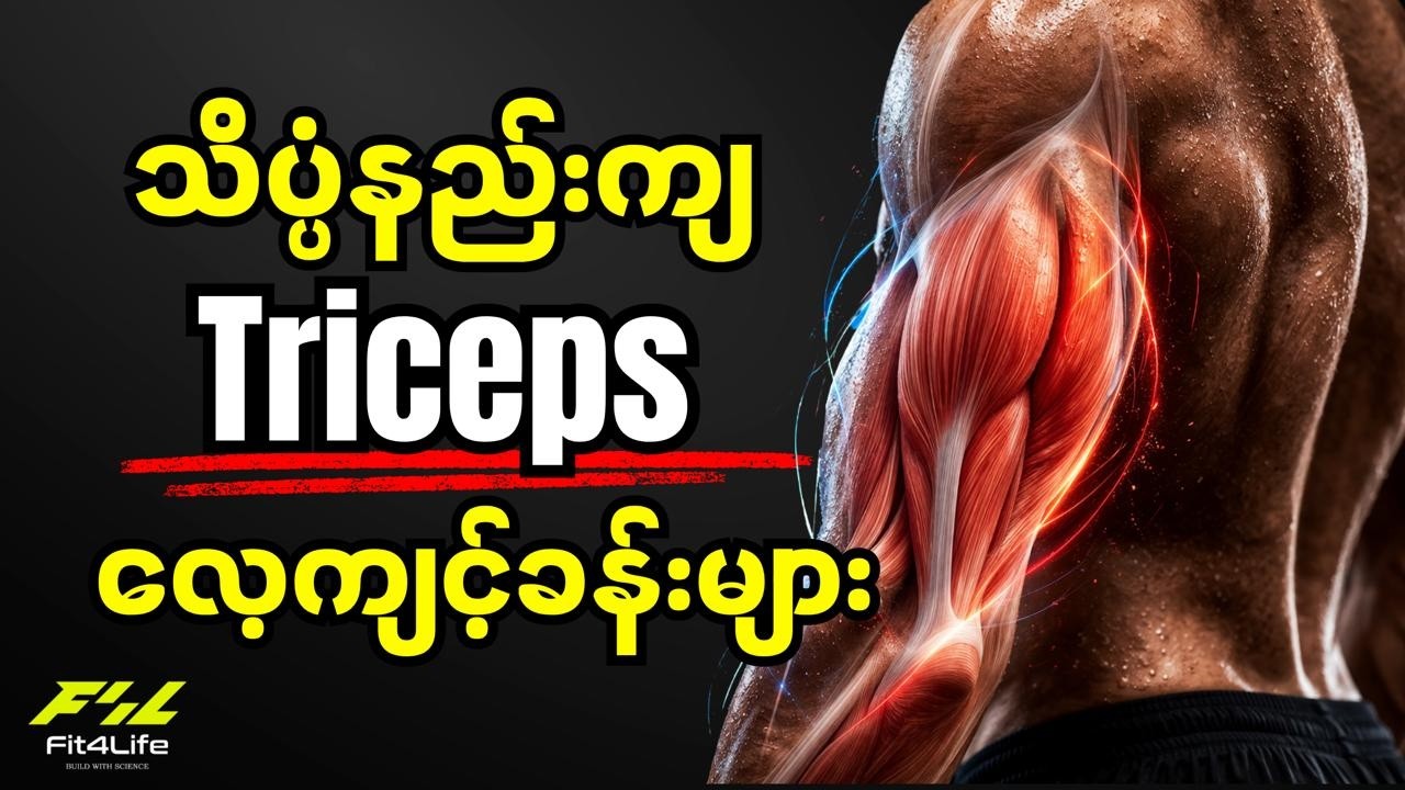 သိပ္ပံနည်းကျ Triceps  ကြွက်သား ကစားနည်းများ