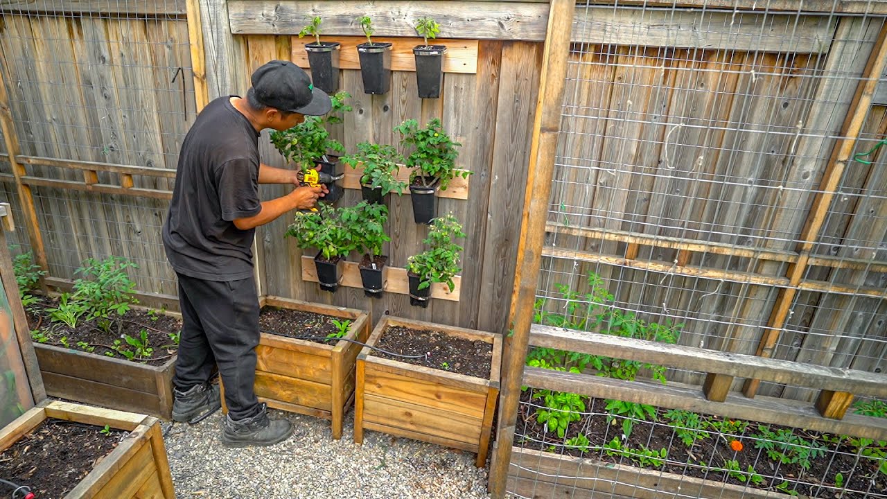 A Day in the Life of a Gardener's Random Chores June 2023