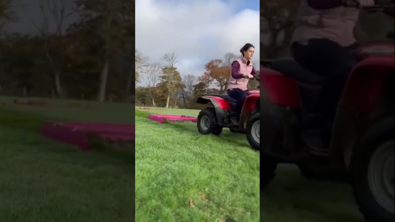 Sunshine and clean paddocks ☀️😌 #paddockblade #horsecare #horse #farming