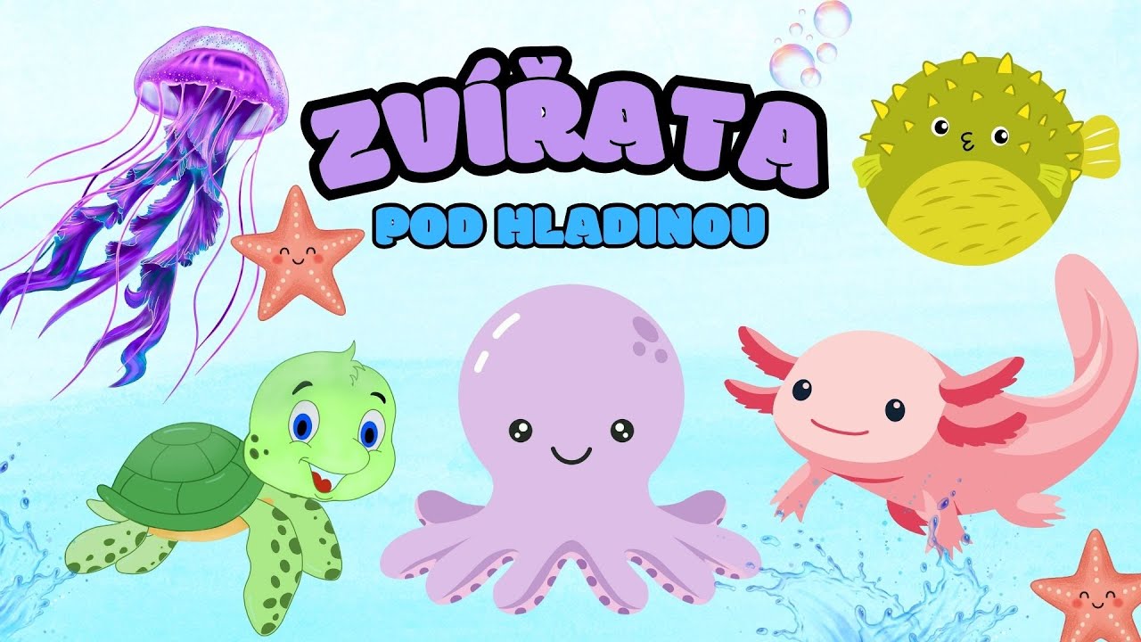 🐳 ZVÍŘATA POD MOŘEM - stíny zvířat| Zábavné vzdělávací video o zvířatech pro děti 🐡 Hádanky pro děti