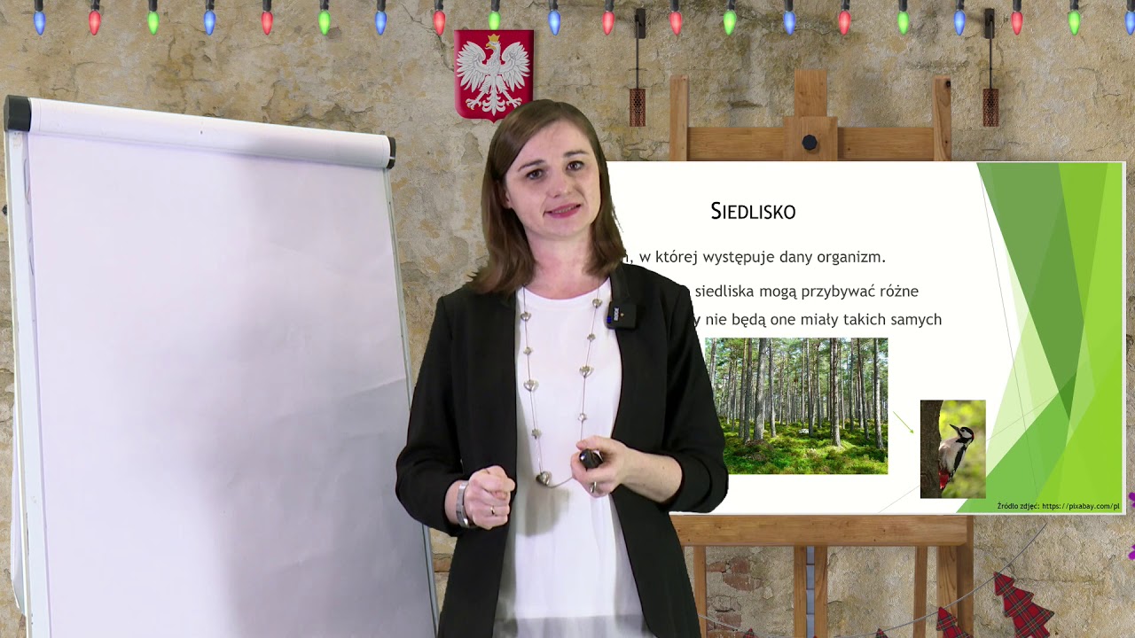 Biologia - SP - egzamin ósmoklasisty. Wstęp do ekologii: