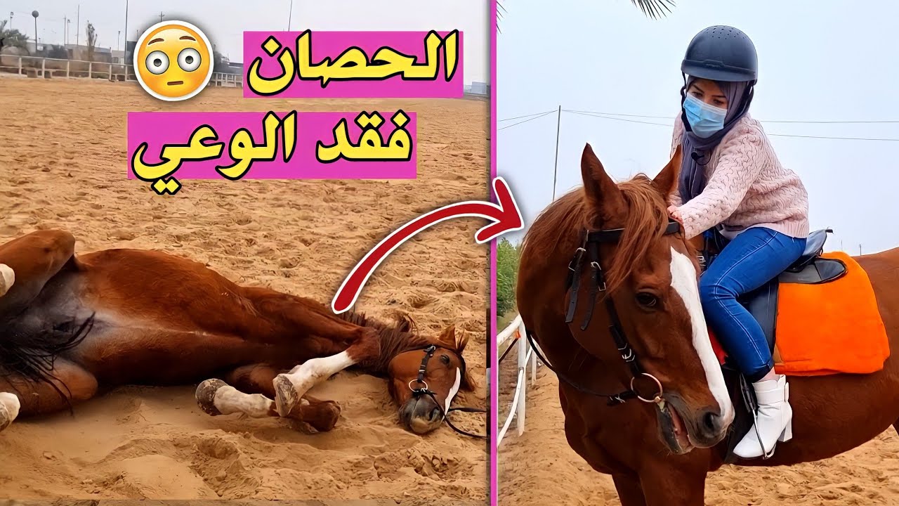 صعدت الحصان لاول مرة بحياتي !!