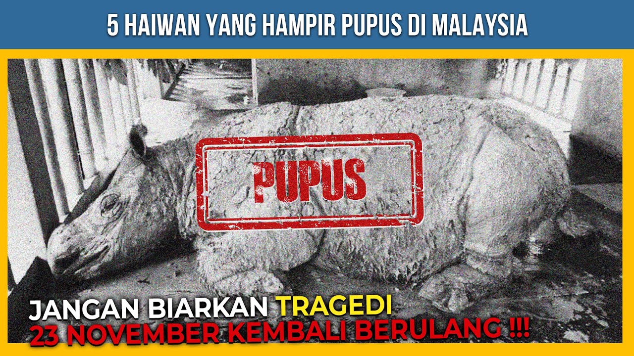 5 HAIWAN YANG HAMPIR PUPUS DI MALAYSIA