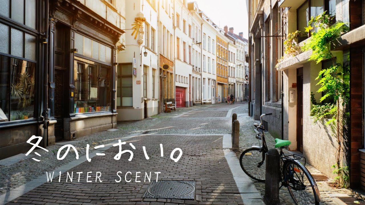 【Playlist】冬の朝に寄り添う❄️｜心地よいメロディで前向きなスタートを切る✨🌲｜Chill & Guitar