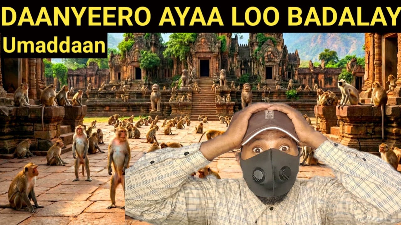 QISADII ASXAABU SABTI UMADII SABTIDA XAD GUDUBTAY EE LAHALAAGAY