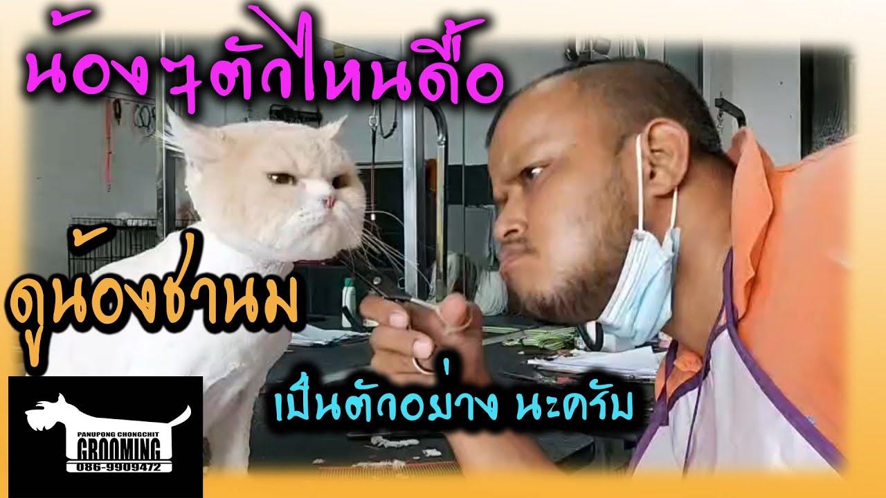 น้องๆตัวไหนดื้อ 