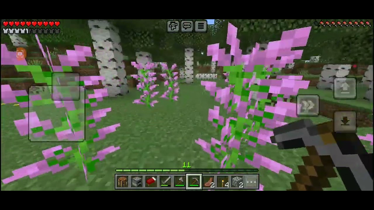 Série de minecraft 