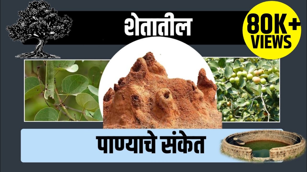 शेतात पाणी असल्याचे संकेत 😳 वराहमीर यांचे पाणी शोधण्याचे प्राचीन शास्र | Ganesh Fartade