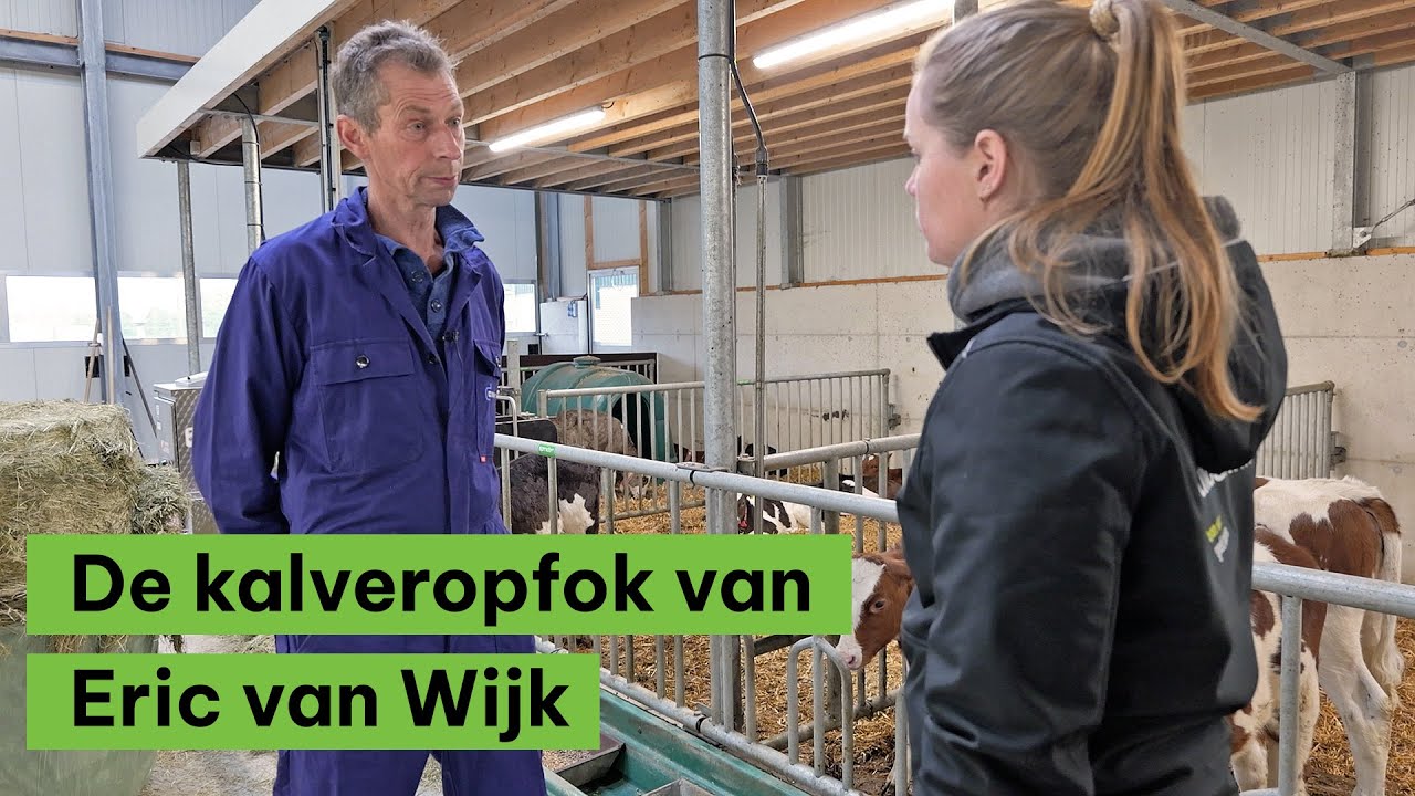 BoerENverstand: De verschillen in melkpoeders