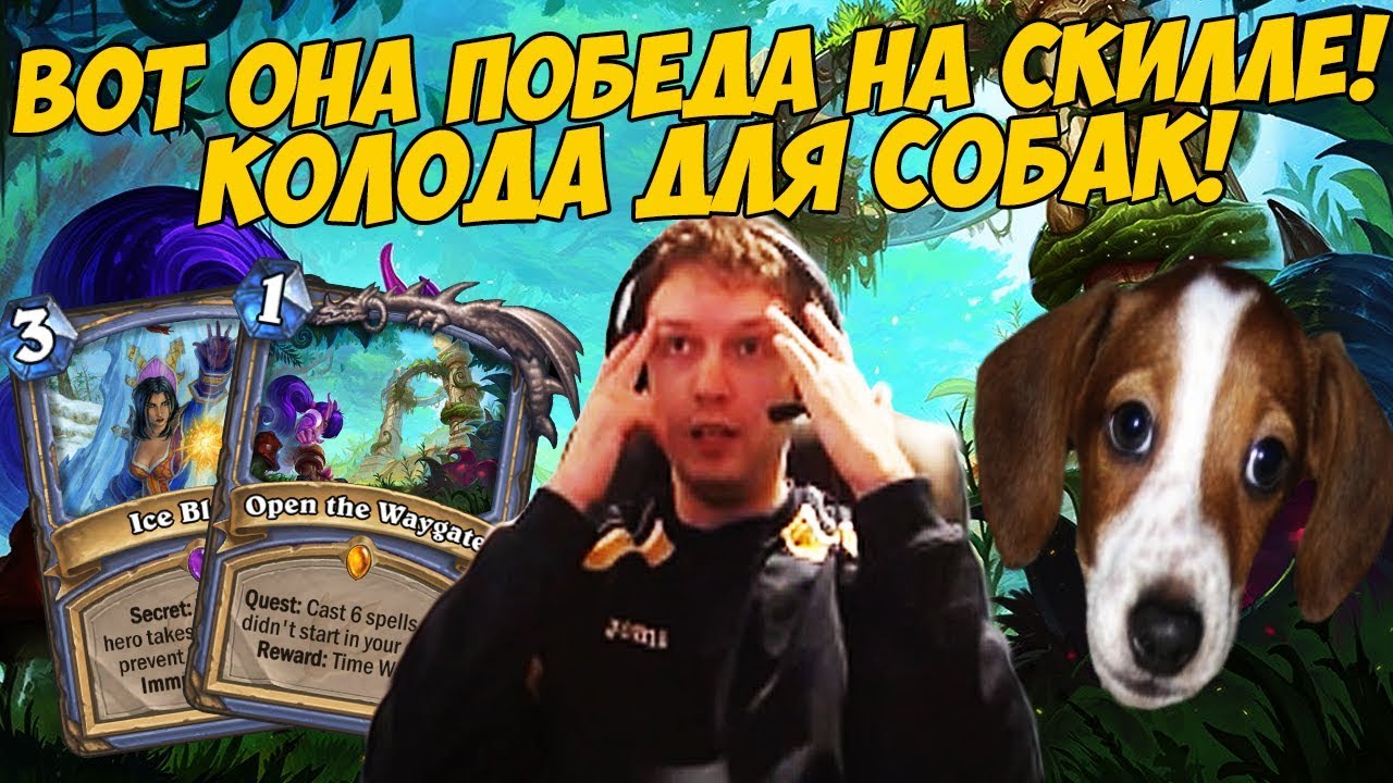 ПАПИЧ: ВОТ ОНА ПОБЕДА НА СКИЛЛЕ! КОЛОДА ДЛЯ СОБАК! [Hearthstone]
