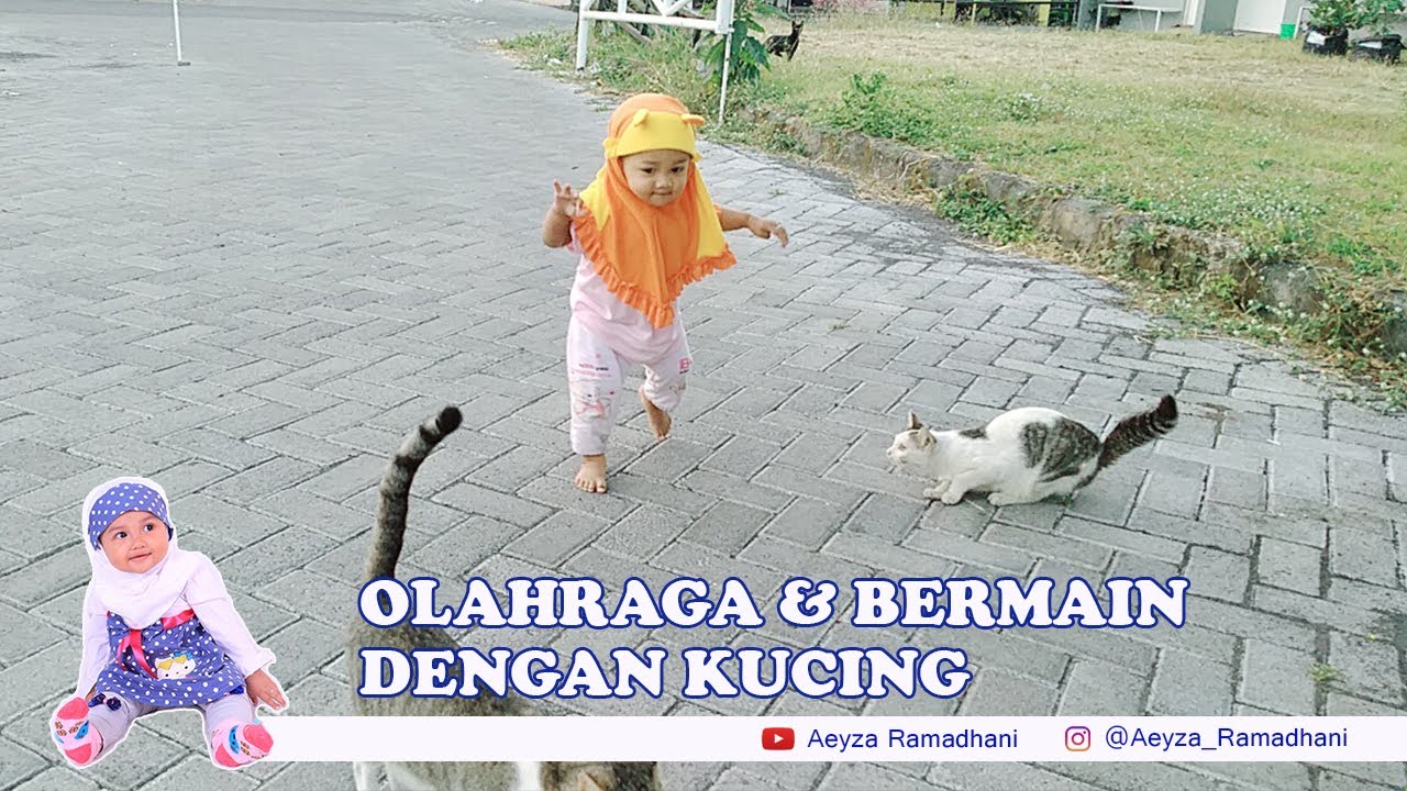 Aeyza olah raga pagi hingga bermain sama kucing