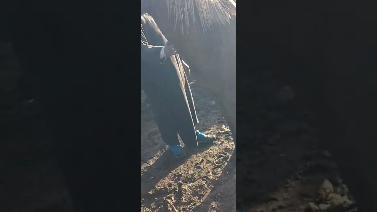 مشاءالله سوق الاثنين سيدي بنور خيول البربري المغربية 💣🐎🐎🐴🐴💸🏆🌧🌨🎖💣💣🐎🪙❤️💵⛈️⛈️🍇🐎🐎🐎🐴