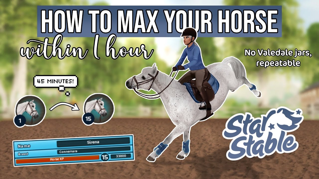 How to max your horse within 1 hour! (Level 1 to 15, repeatable) | Star Stable Online