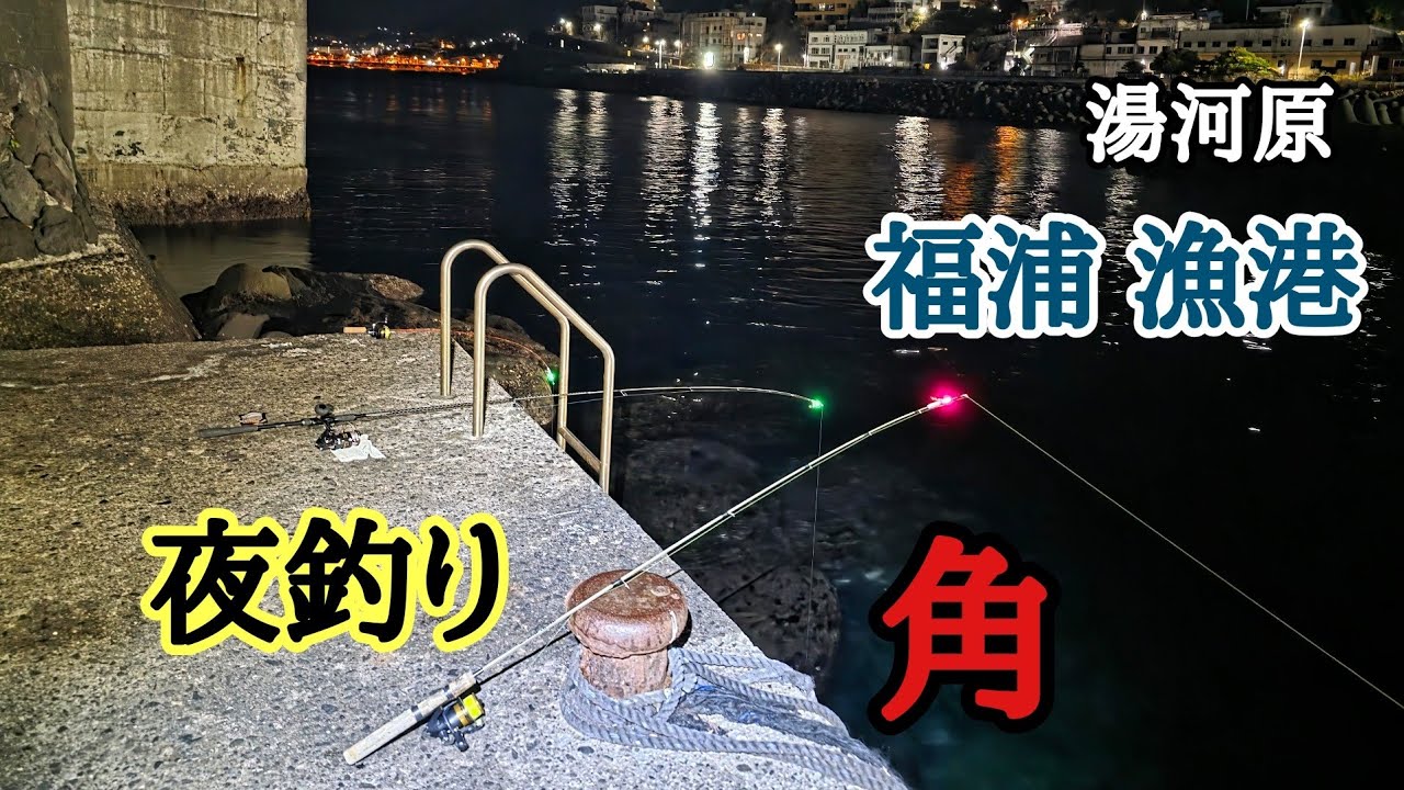 【福浦漁港】の｢角｣でオキアミとサンマ切り身｜夜釣り