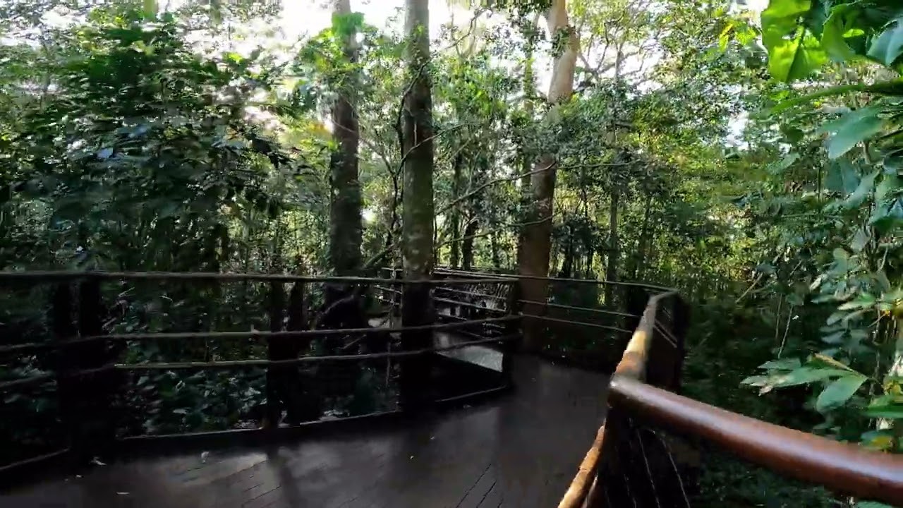 RESERVA NATURAL SESC BERTIOGA