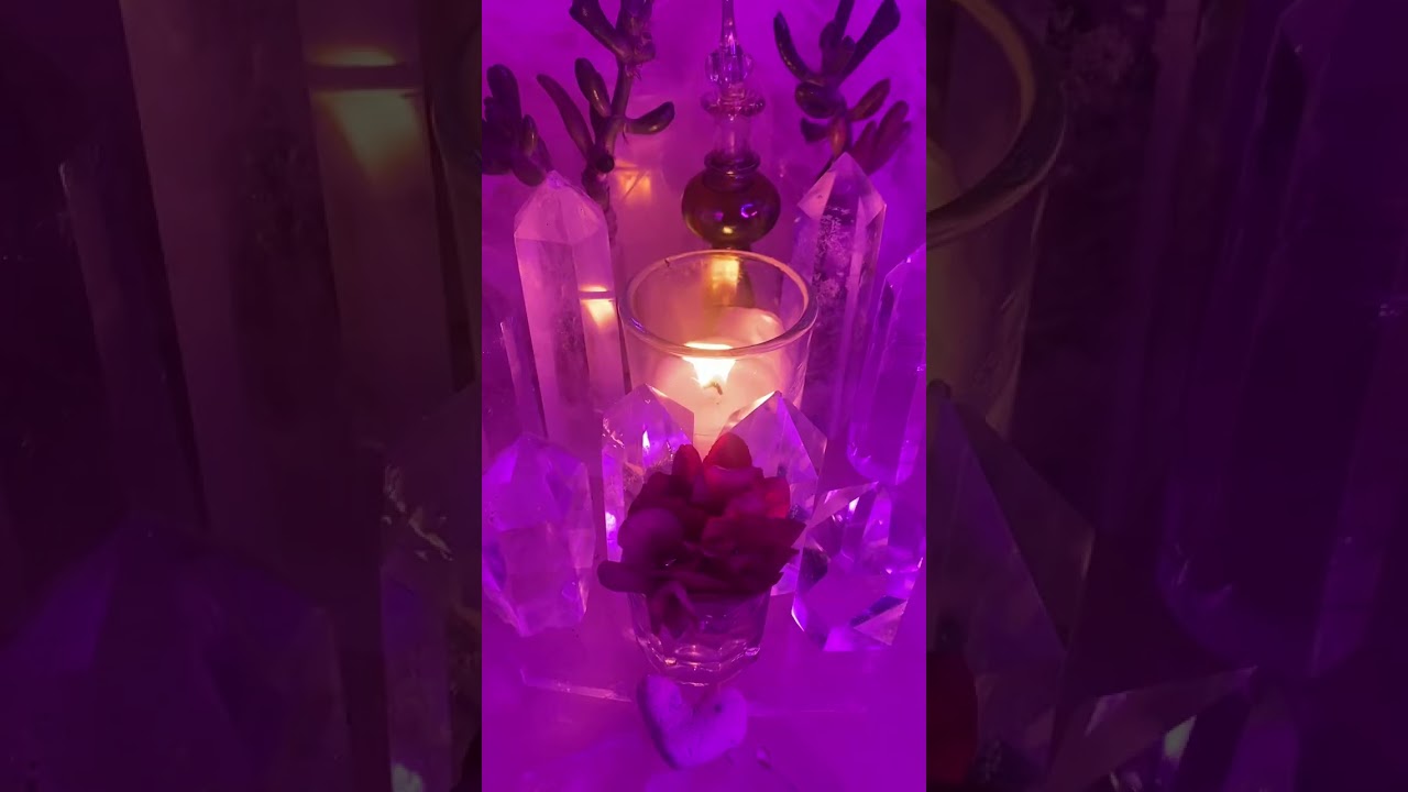 👁️It’s Being Illuminated What Your Corrupt Sibling/Family Has Been Doing 👀🧿🕊️😱