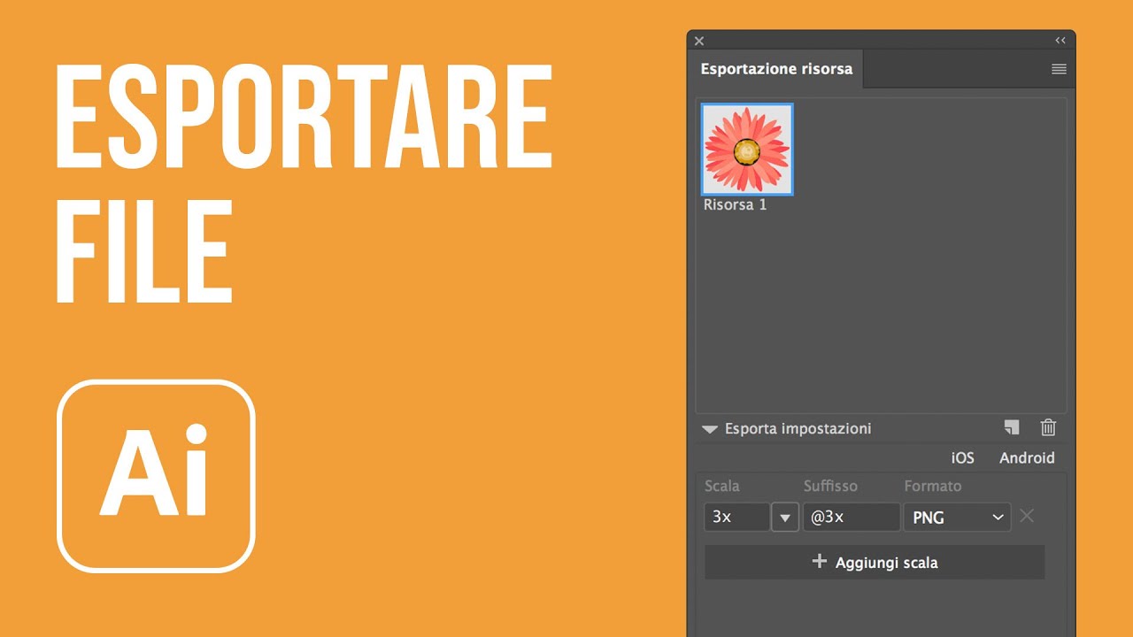 Come esportare correttamente in Adobe Illustrator CC