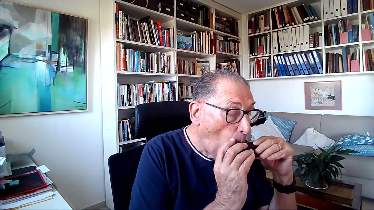 Air by J. S. Bach Harmonica