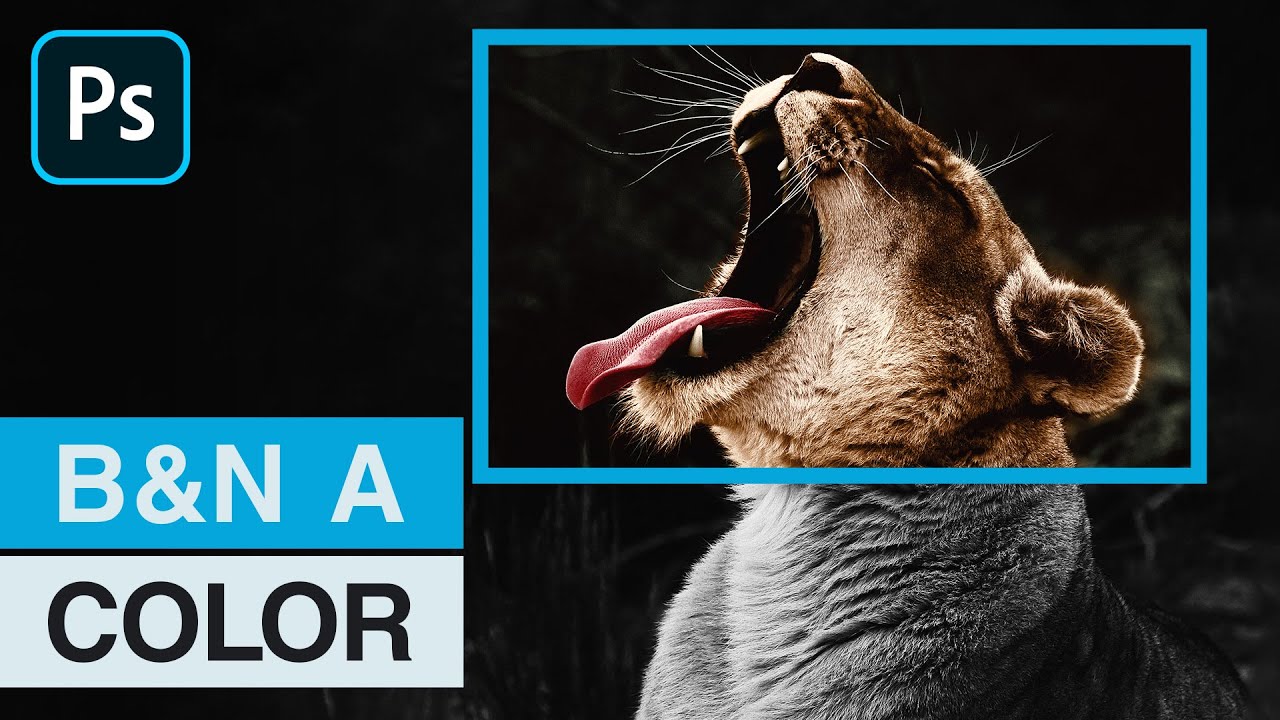 Colorear una Fotografía en Blanco y Negro | Photoshop