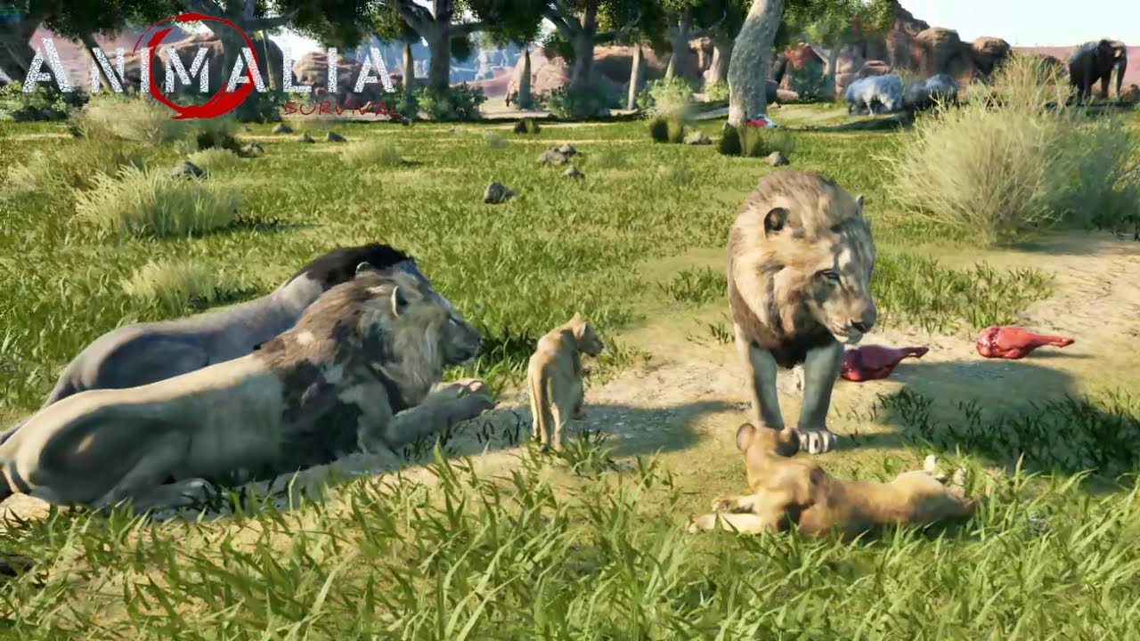 Animalia Survival - Lion Pride 🦁- Battles Deadly - Gameplay