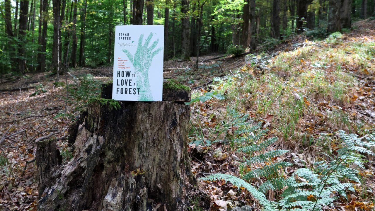 Book Review - How to Love a Forest