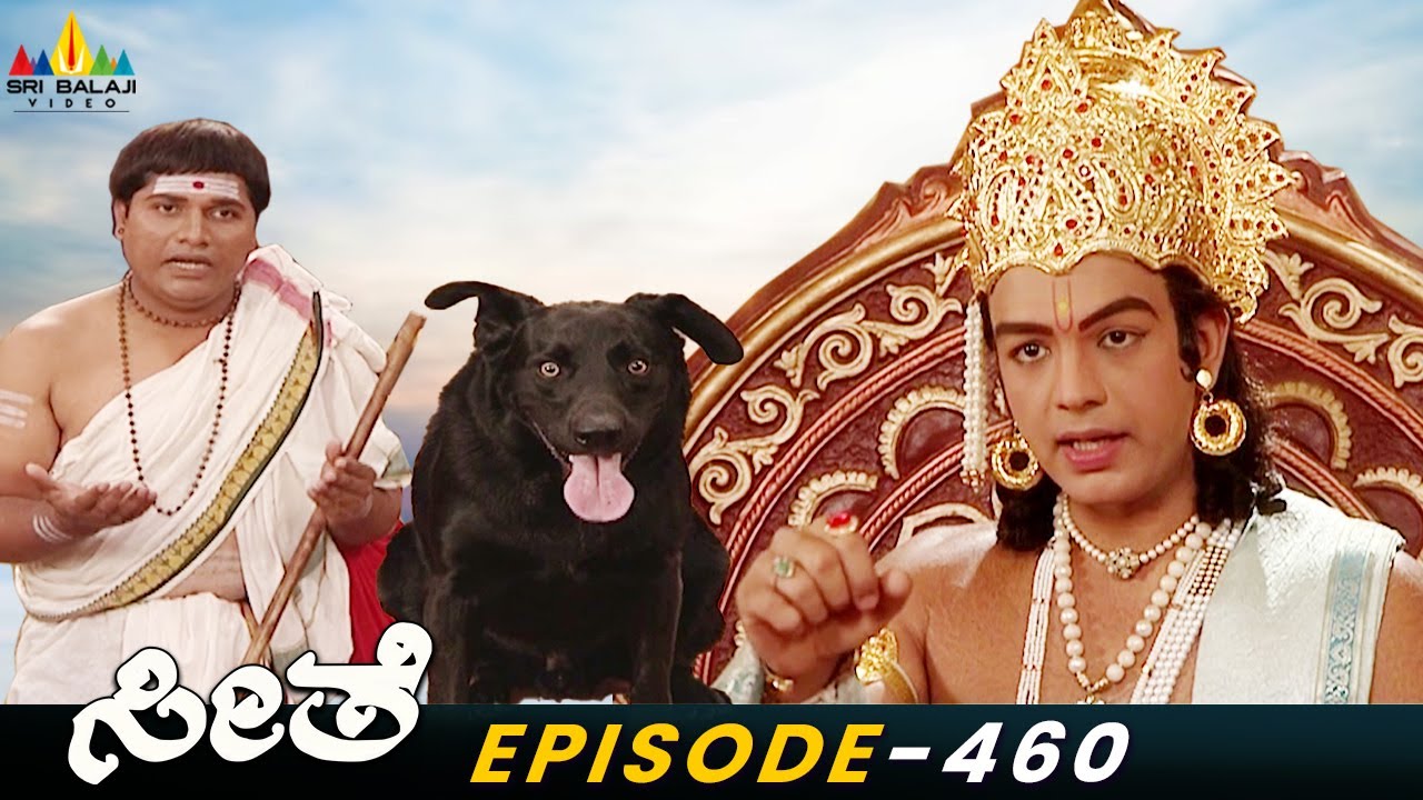 ಶ್ರೀರಾಮನು ನಾಯಿಗೆ ಹೇಗೆ ನ್ಯಾಯ ಒದಗಿಸಿದನು ? | Lord Rama & Dog Story | Ep 460 | Seethe | Kannada Ramayan