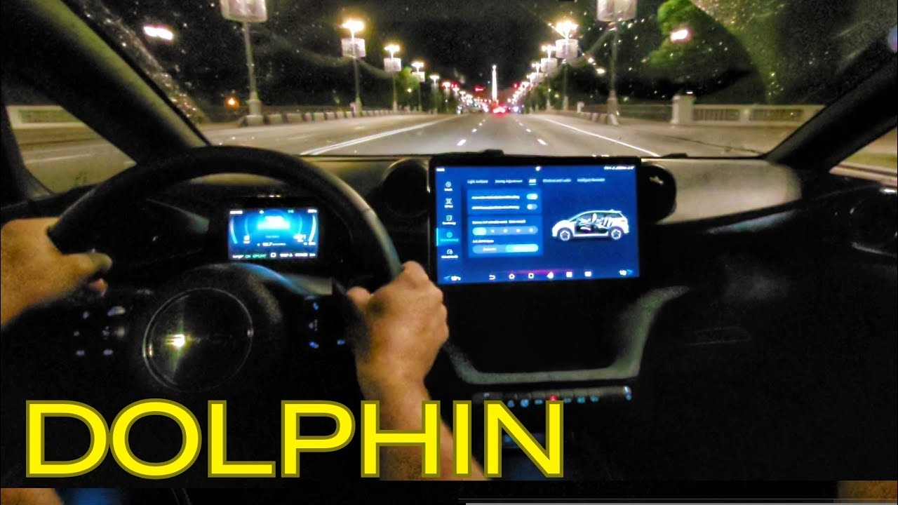 2023 BYD Dolphin 🐬 - POV night driving