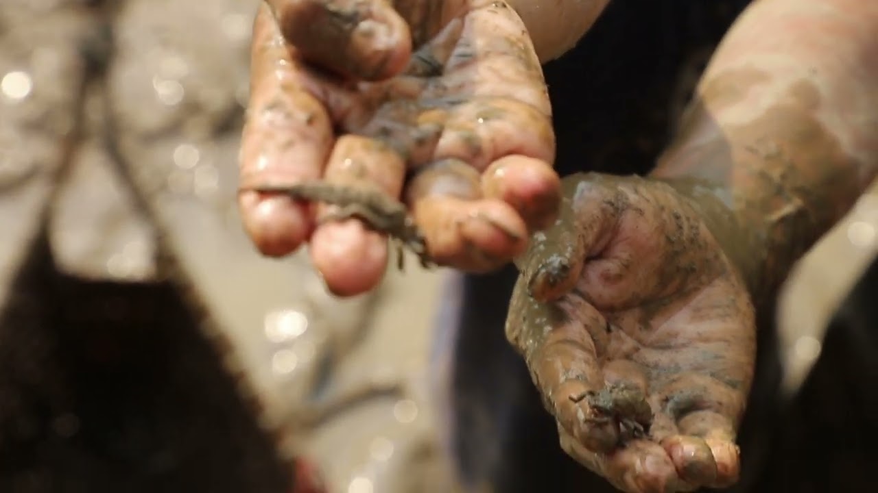 Nature's Kitchen: Exploring the Tiwa Community's Traditional Food Practices