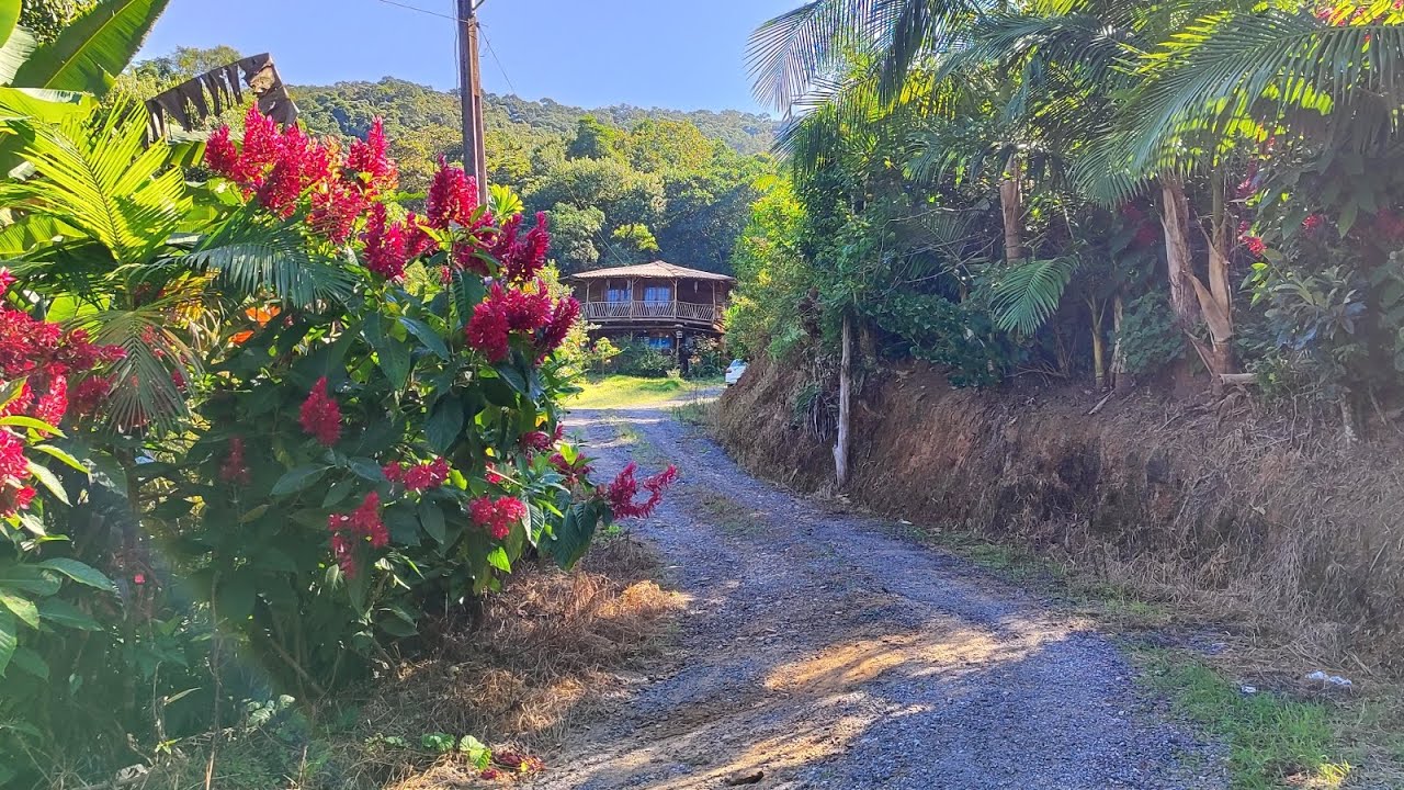 VENDO • Sitio em São José SC - 11 hectares