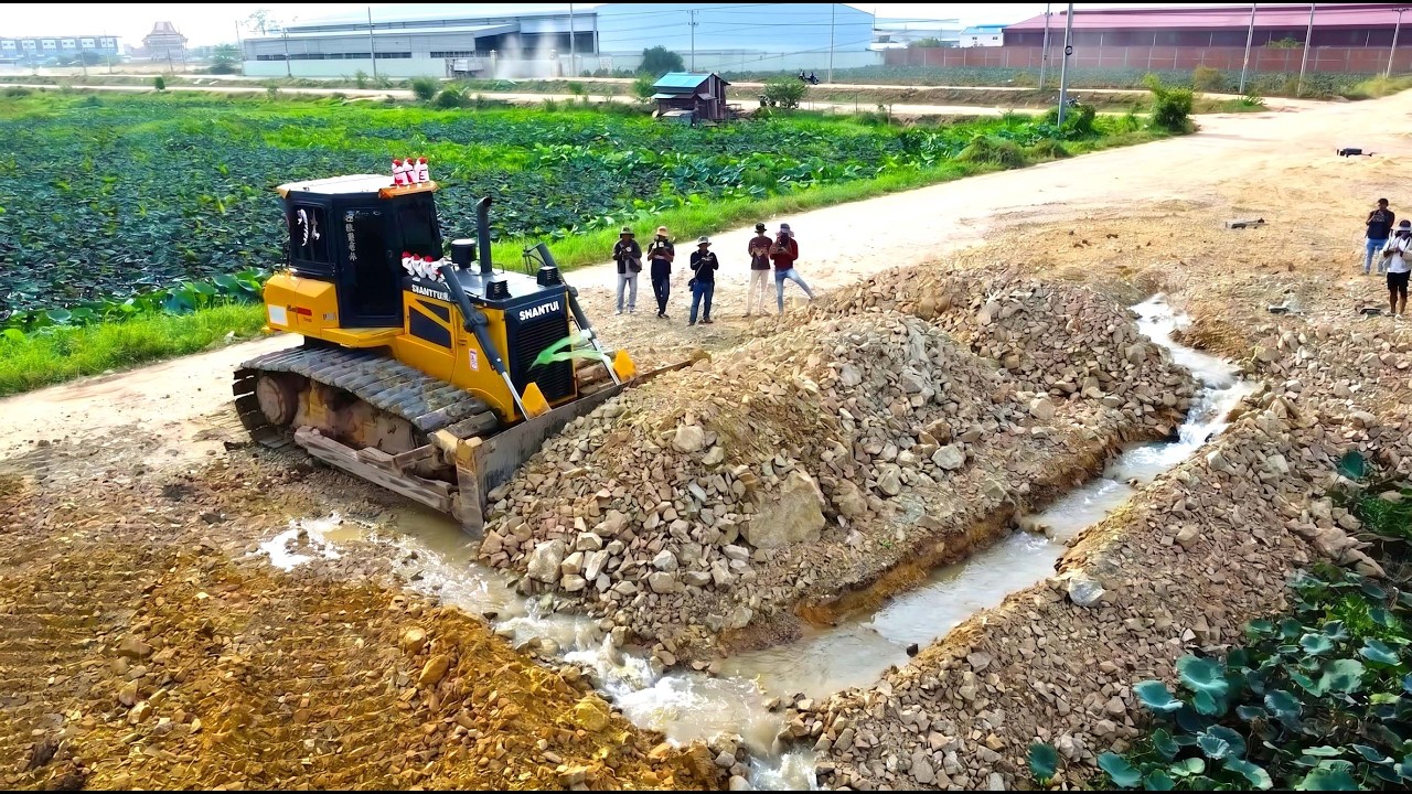 Show Up Full Process Work SHANTUI C3 Pro And truck 25 Ton Dong Feng Working Together Delete Pond