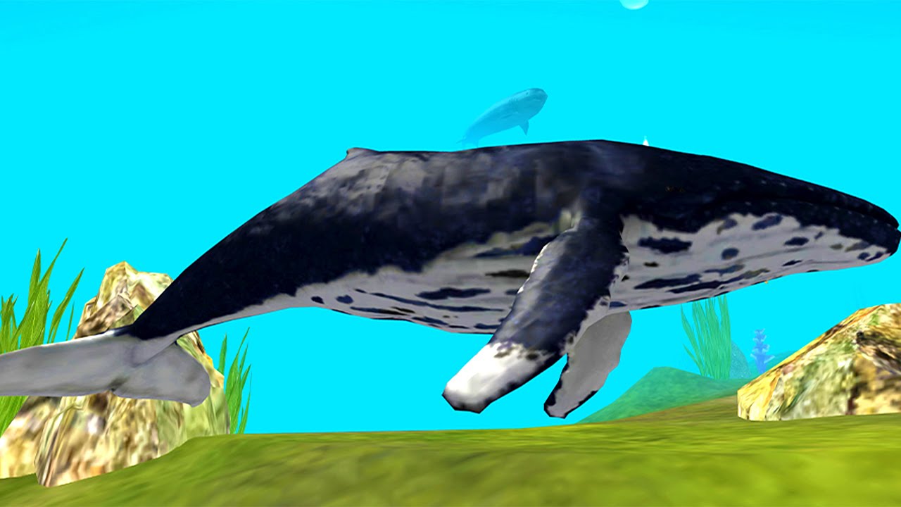 Blue Whale Survival Challenger