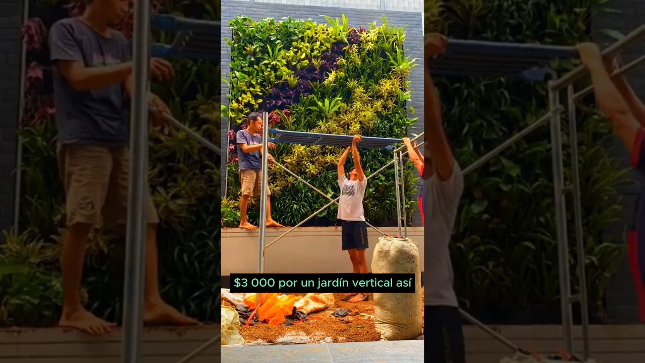 🚀Emprende con jardines verticales🌱