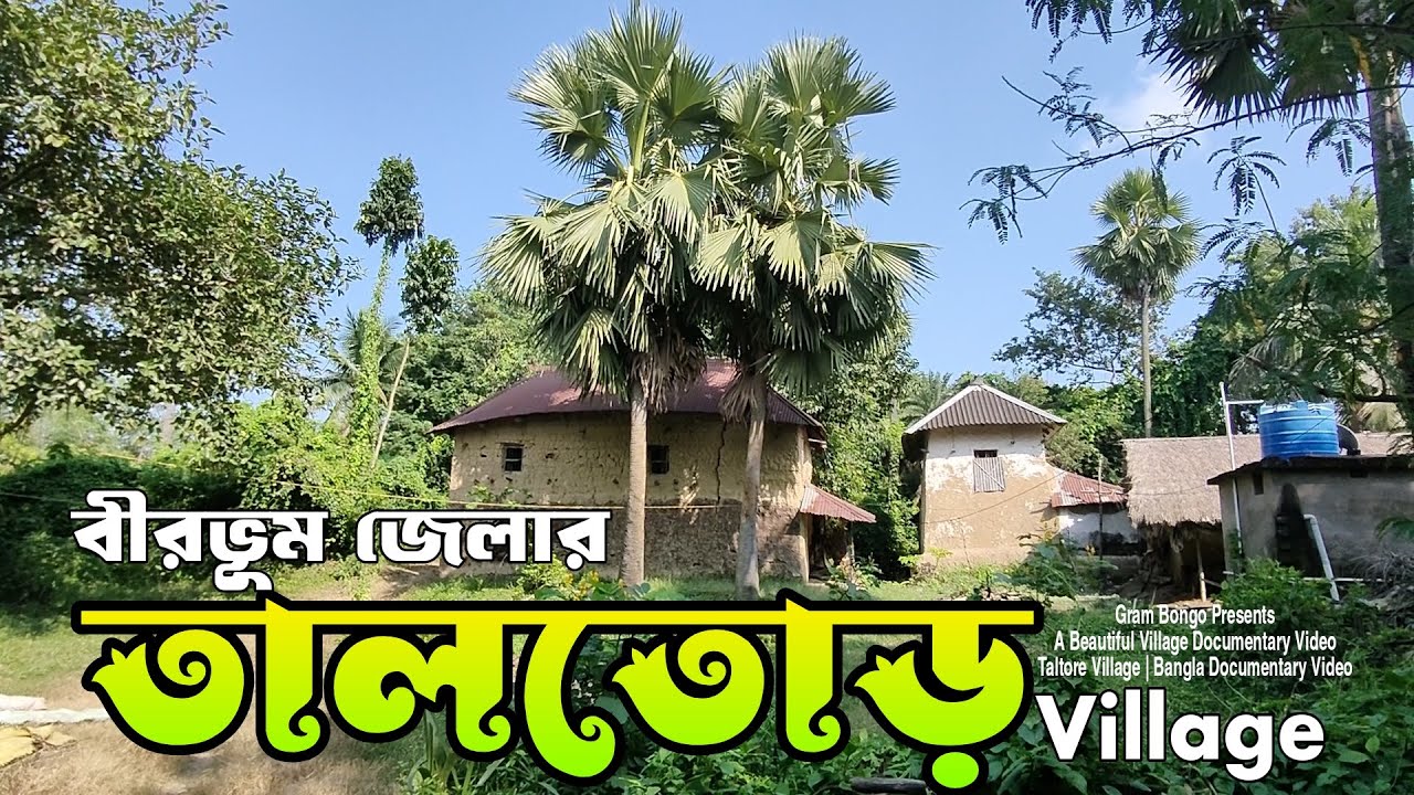 তালতোড় | Taltore Village | Village Documentary Video | @GramBongo 