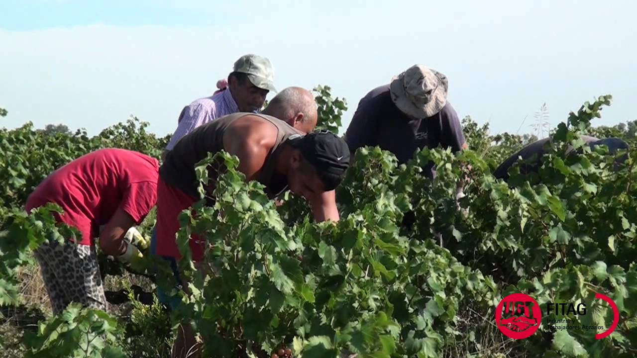 FITAG UGT visita temporeros y temporeras en Francia 2014
