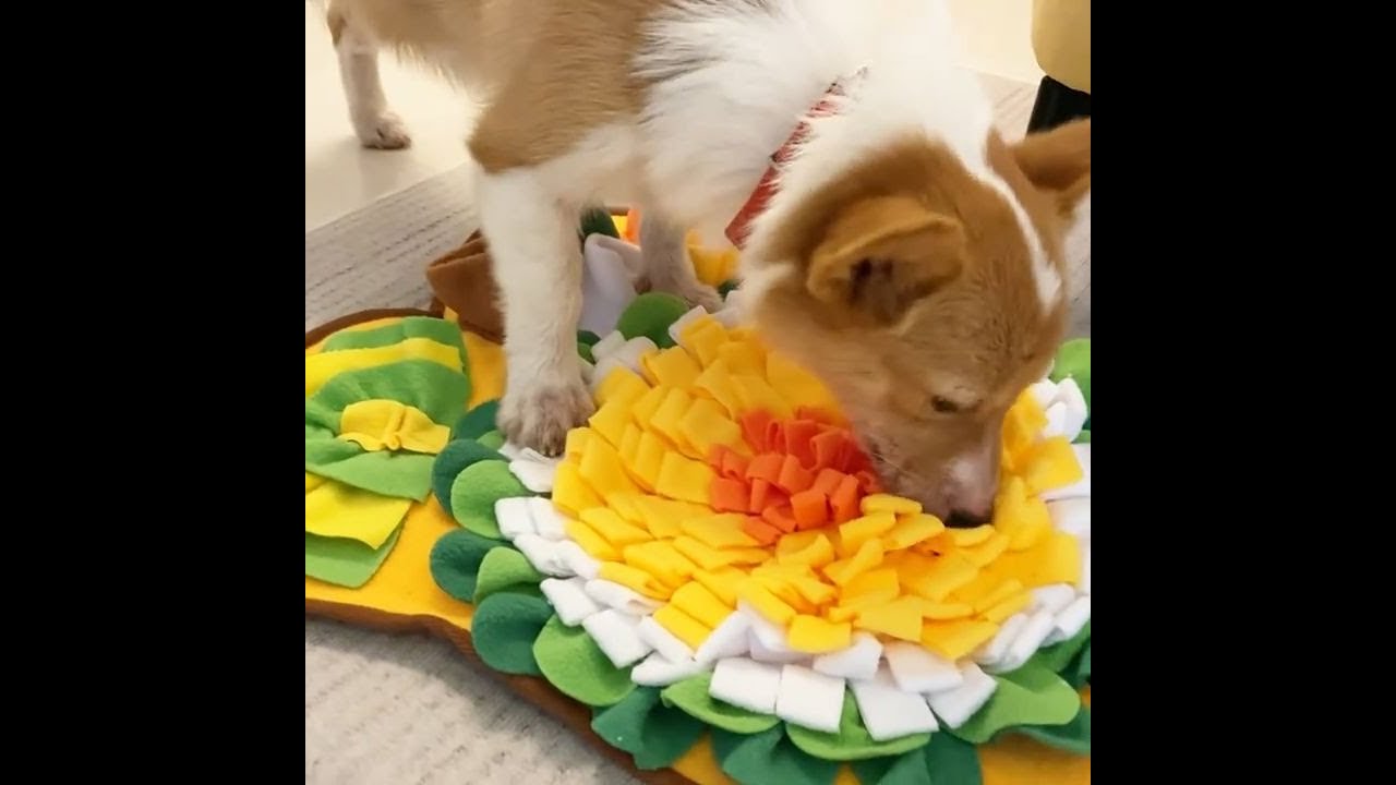 Unwind Your Pup: How a Dog Snuffle Mat Reduces Anxiety and Boredom