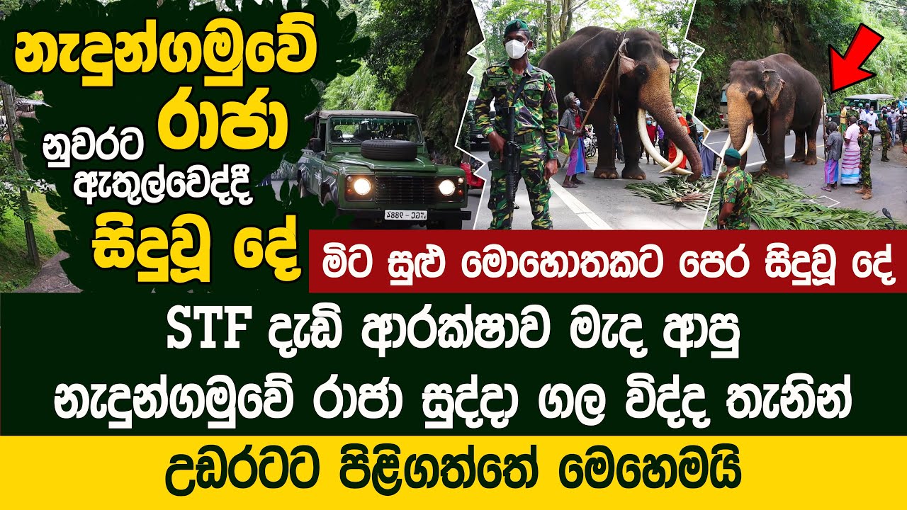 දැඩි ආරක්ෂාව මැද නුවරට අතුල්වුණු නැදුන්ගමුවේ රාජා - Nedungamuwe Raja Enter to Kandy Coty - Nilame