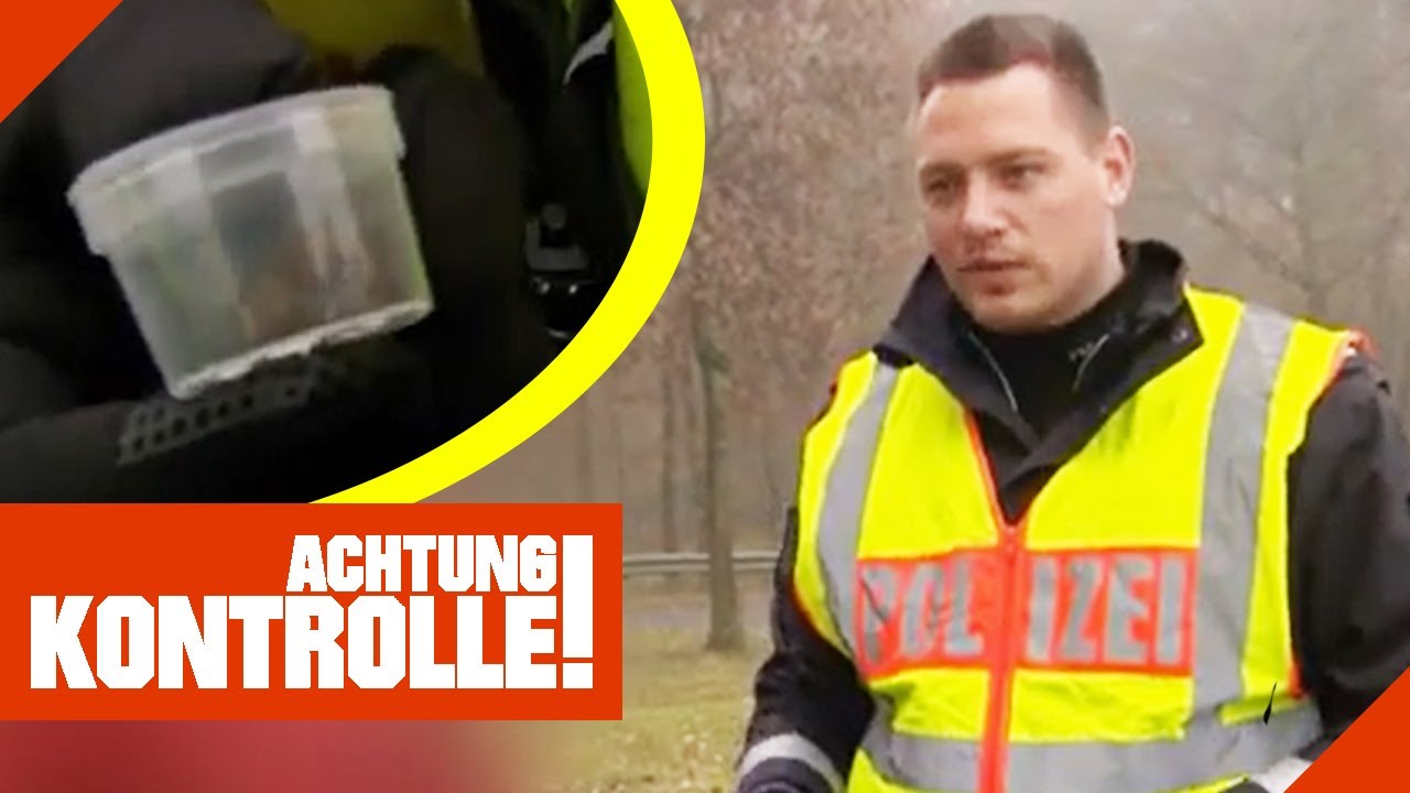 Drogenkontrolle an der holländischen Grenze: Ist der Fahrer stoned? | Achtung Kontrolle | Kabel Eins