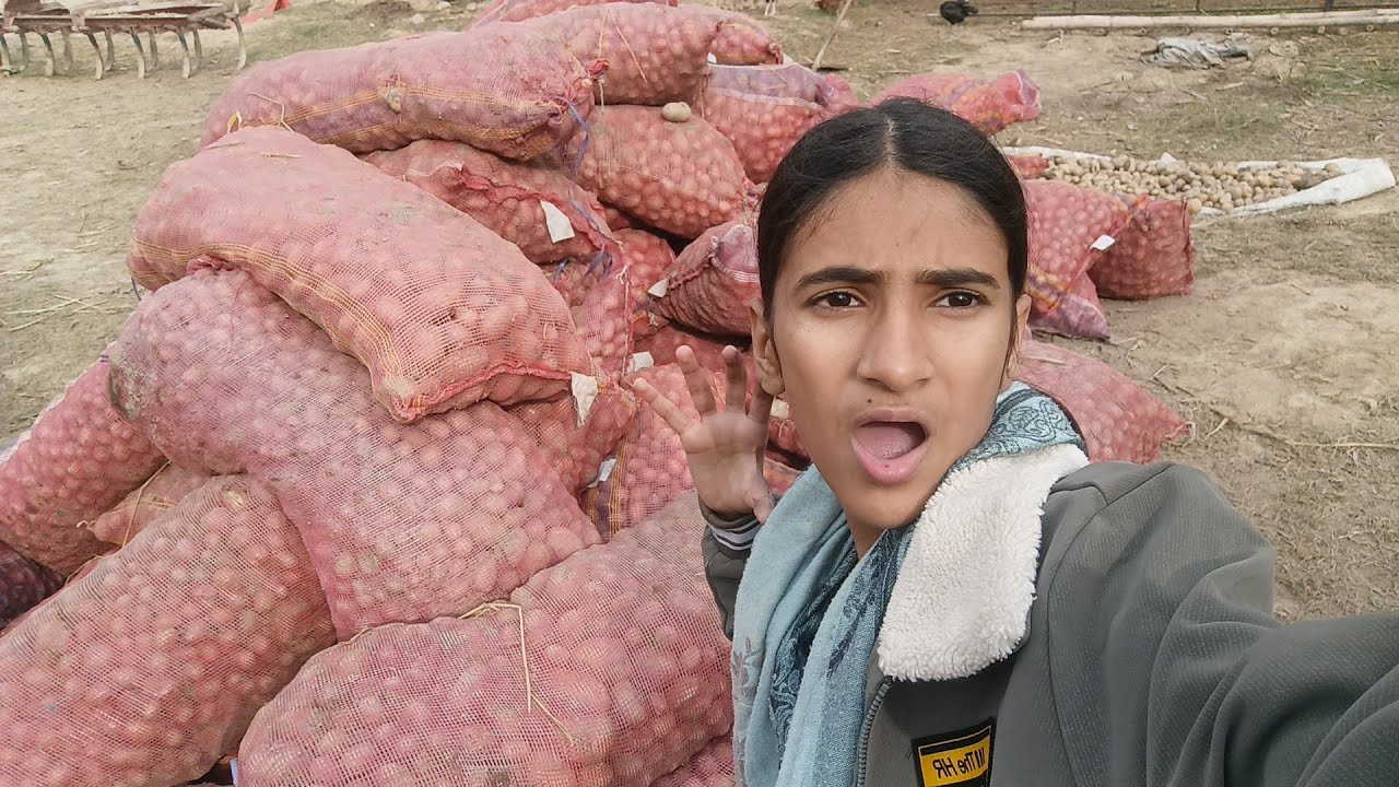 ITNAY SARAY AALOO KAHAN SE AA GYE | DAIRY FARM ME BOHAT AALOO AGYE | #potato #VLOG #youtube