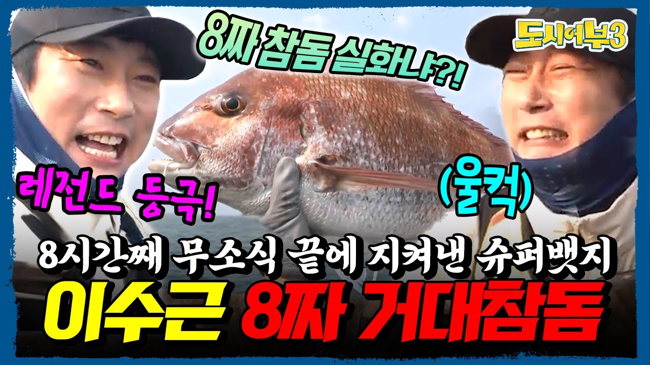 8시간동안 꽝...💢 참을 忍 세 번 했더니 진짜 8짜 참돔🐟 낚았다?! 이수근, 슈퍼뱃지 지켜내고 눈물쏟음ㅠㅠ 도시어부 레전드 회차🎣🔥 | 도시어부3