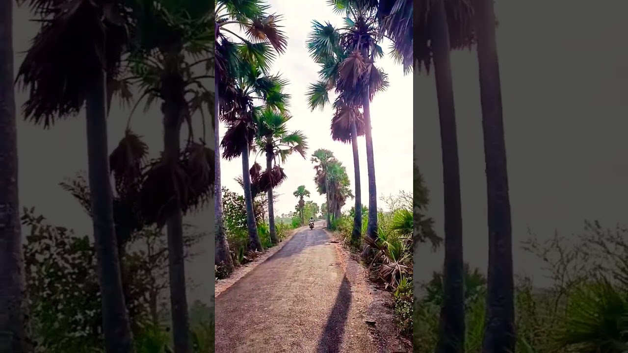 Apr20❤️𝓶𝓸𝓻𝓷𝓲𝓷𝓰 𝓲𝓷𝓭𝓲𝓪#villagelife #nature #video #trendingshorts #viral