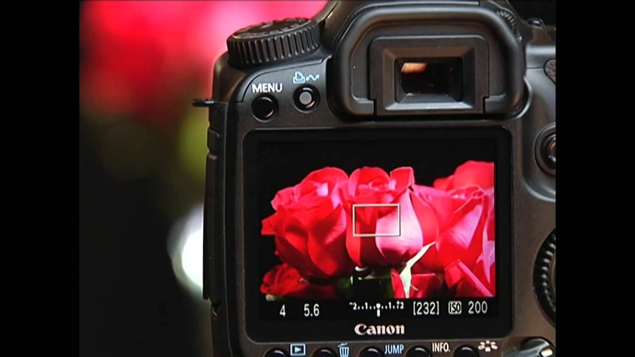 Introduction to the Canon 40D - 8