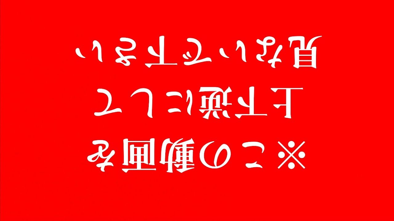 【心霊•車中泊】違和感…初めて撮れたタイプの恐怖映像【埼玉·桜木神社】心霊スポット、ユーチューバー、霊媒師、廃墟、人怖、ヒトコワ、水ダウ、人がいた、ほん怖、遭遇、監視カメラ、恐怖、怖い、映像、動画