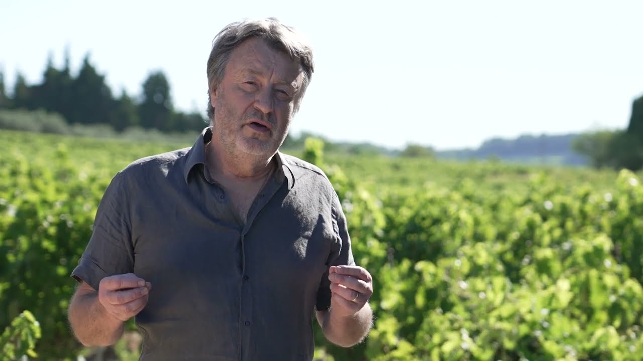 Hiérarchisation en Vallée du Rhône
