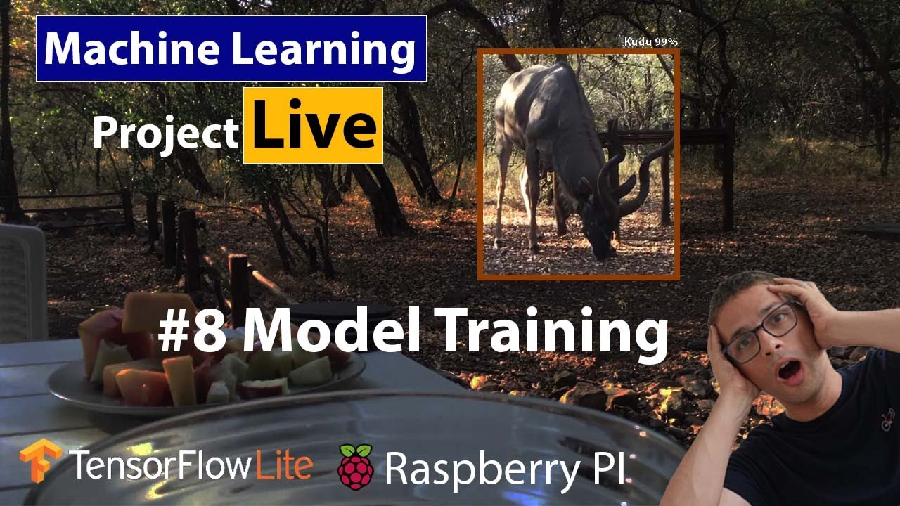 #8 Working on Tensorflow Image Classification with Transfer Learning - Training