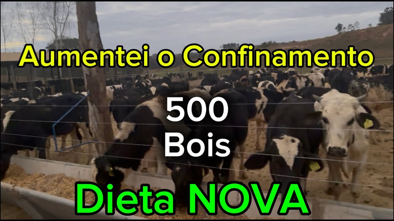 Aumentei o Confinamento 