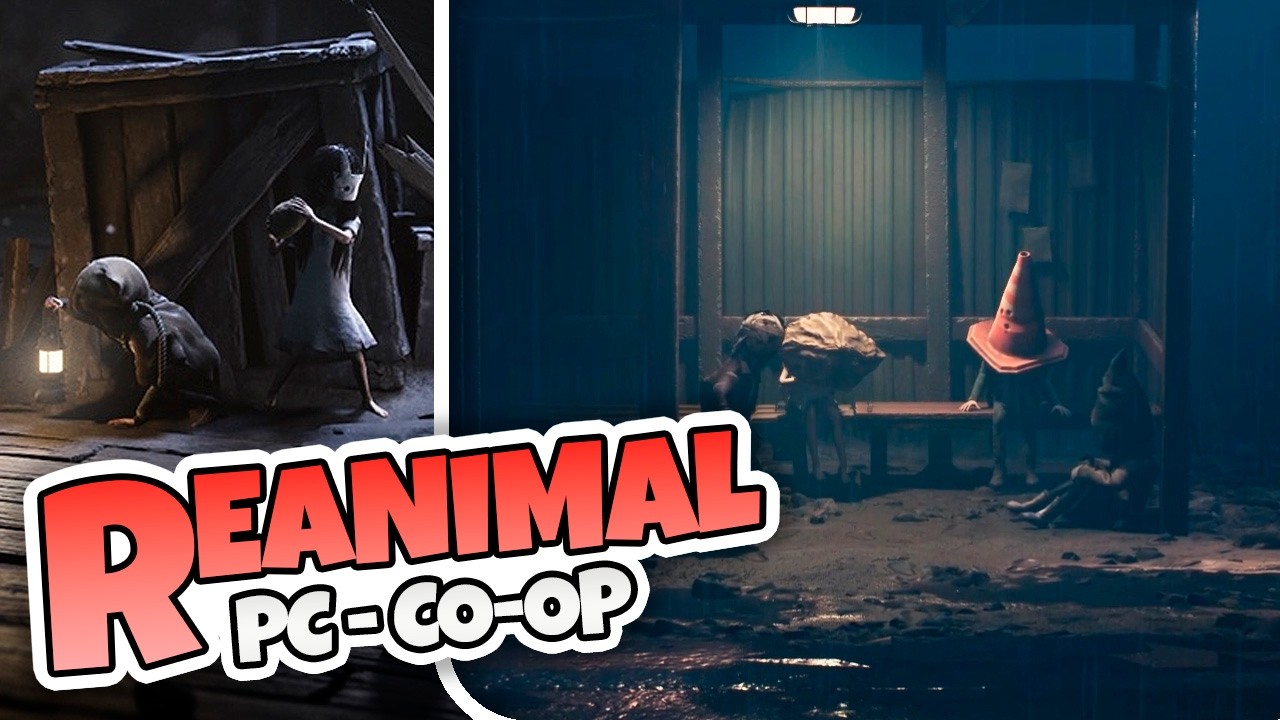 Animal interior - REANIMAL Co-Op en español
