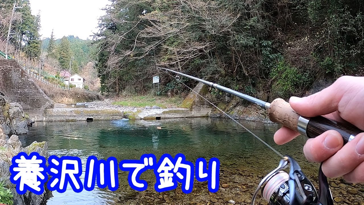 養沢川で釣り【東京】