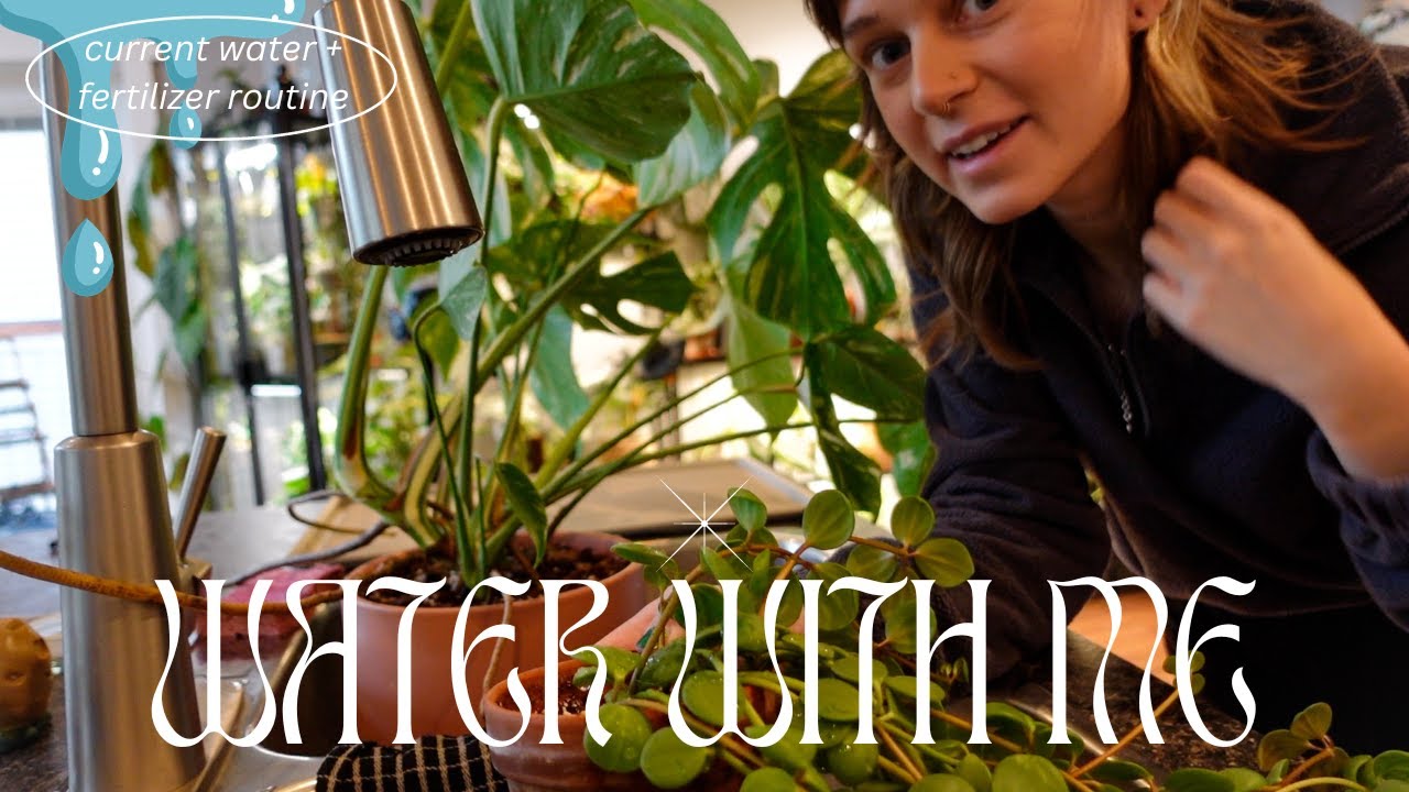 💧 water my houseplants with me💧 products I'm using, rearranging cabinet, + air plant troubles