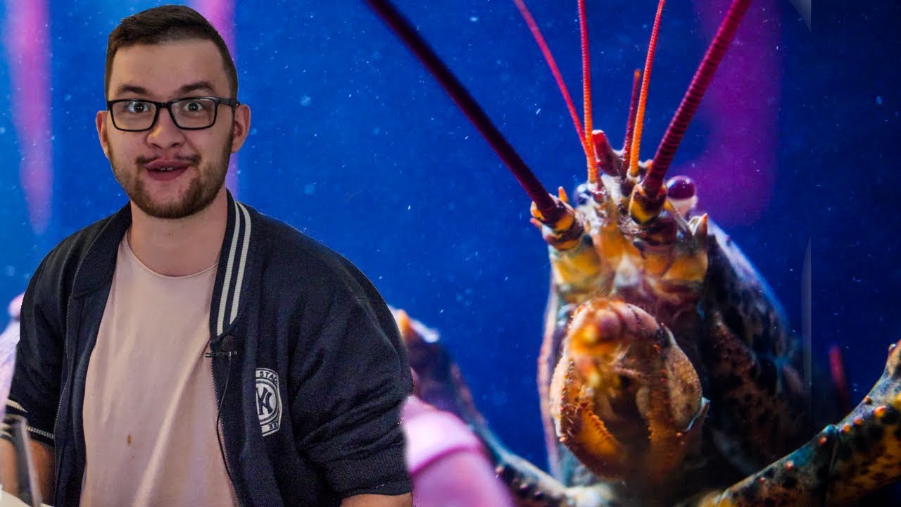 Jak smakuje HOMAR Rafał ?